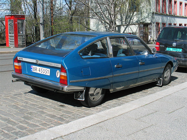 Pallas Rabarbra