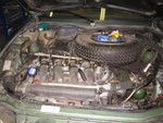 IMG 0010