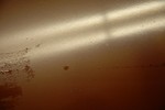 dsc 0531