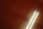 dsc 0541