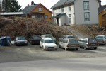 V�rblomstring3