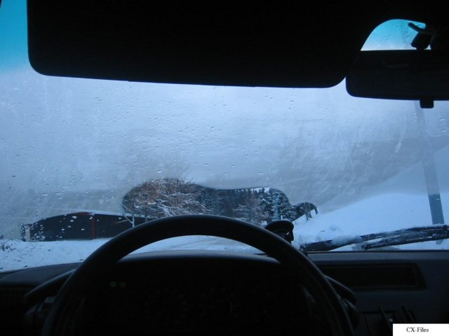 IMG 0172