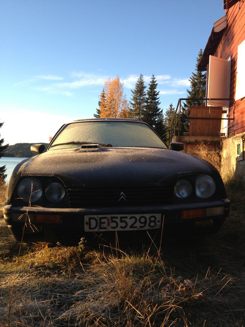 CXfrost