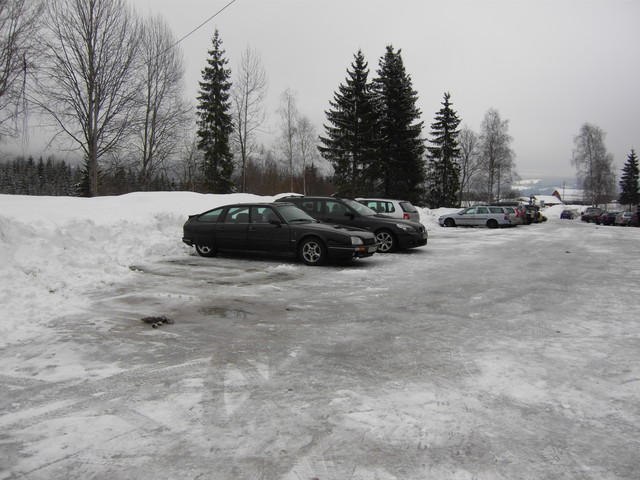 SDC10323