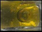 Pallas07