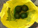 DSCN2119