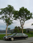 Vestland juni2006 001