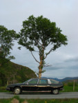 Vestland juni2006 007