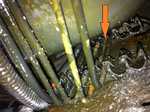 Hydraulikklekasje Xantia2