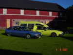 De st�r likt med bakendene!!