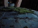 78 CXGTI 009
