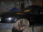 CXfestv�g 008