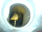 DSC00393