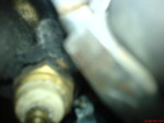 DSC00397