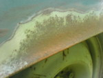 DSC00023