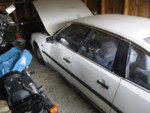 IMG 0010