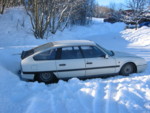 IMG 0095