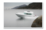Ona790 preview2
