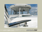 Ona790 puller004