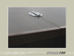 Ona790 walnut04