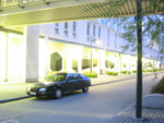 IMG 0031copy