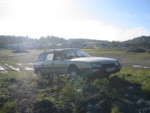 IMG 0019