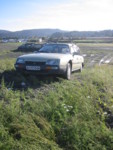 IMG 0023