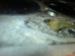 DSC00306