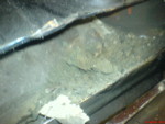 DSC00345