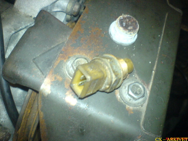 DSC00365