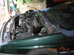 DSCN2380