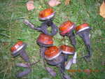 DSCN6610