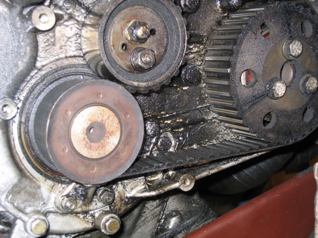 Citr.TRD2 009