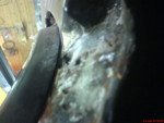 DSC00531
