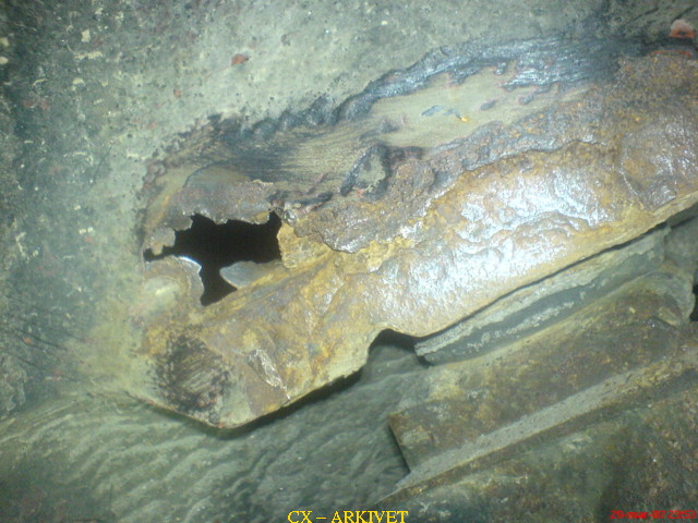 DSC00554