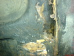 DSC00564