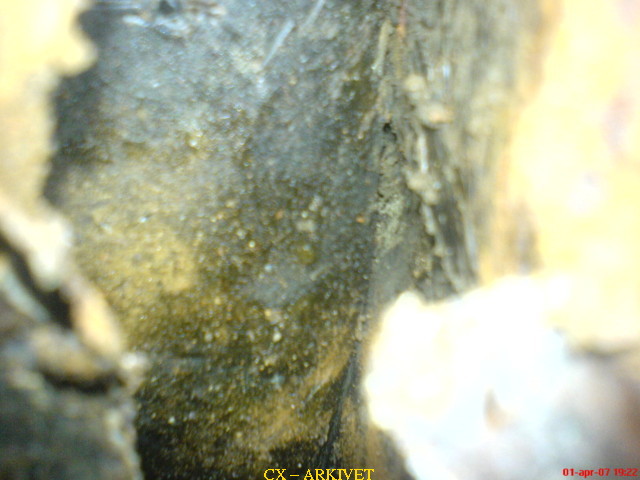 DSC00565