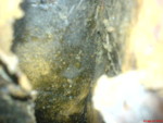 DSC00565