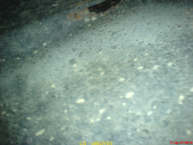 DSC00584