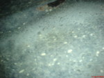 DSC00584