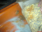 DSC00585