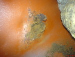 DSC00586