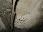 IMG 0183