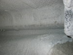 IMG 0193