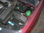 DSCN3173