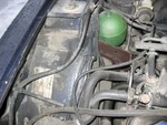 IMG 0029