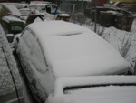 IMG 0021