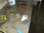 DSC00096