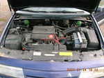 DSCN2600