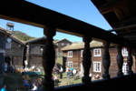 DSC 0528
